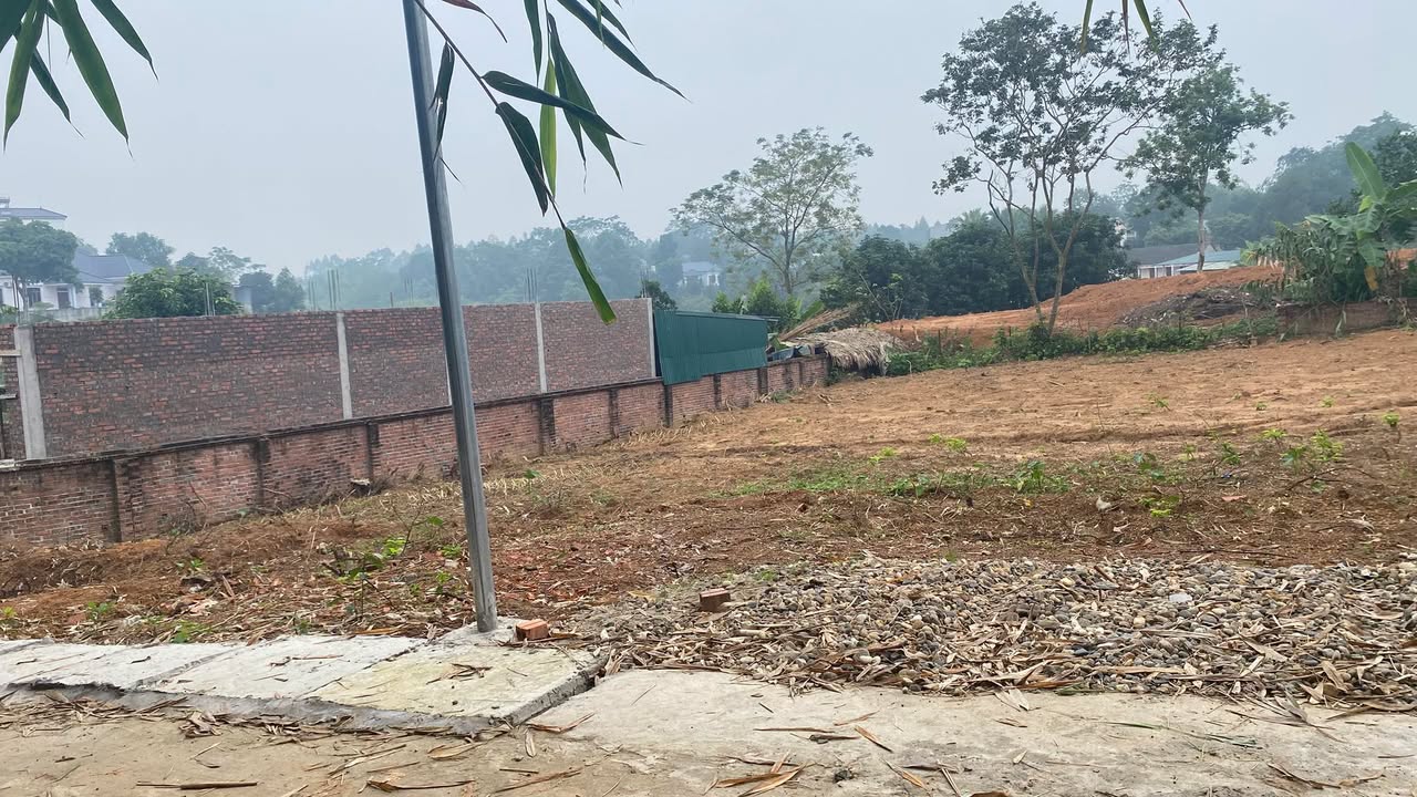 Đất thổ cư 100m² tại khu phố 4 Thanh Đình, Việt Trì - Giá chỉ 1 tỷ VND!