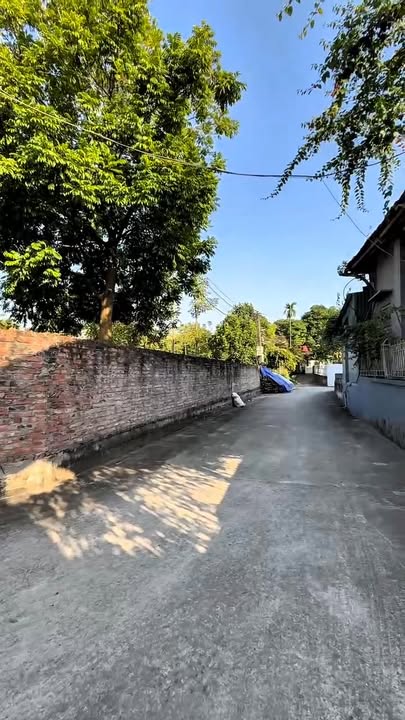 Đất thổ cư Bảo Yên 900m², giá thỏa thuận - Cơ hội đầu tư hấp dẫn!