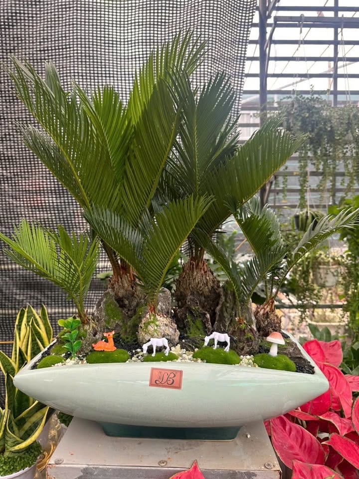 Đất nền Hoằng Quý 2 lô liên kề 280m² giá chỉ 1.8 tỷ - Mặt tiền thoáng rộng