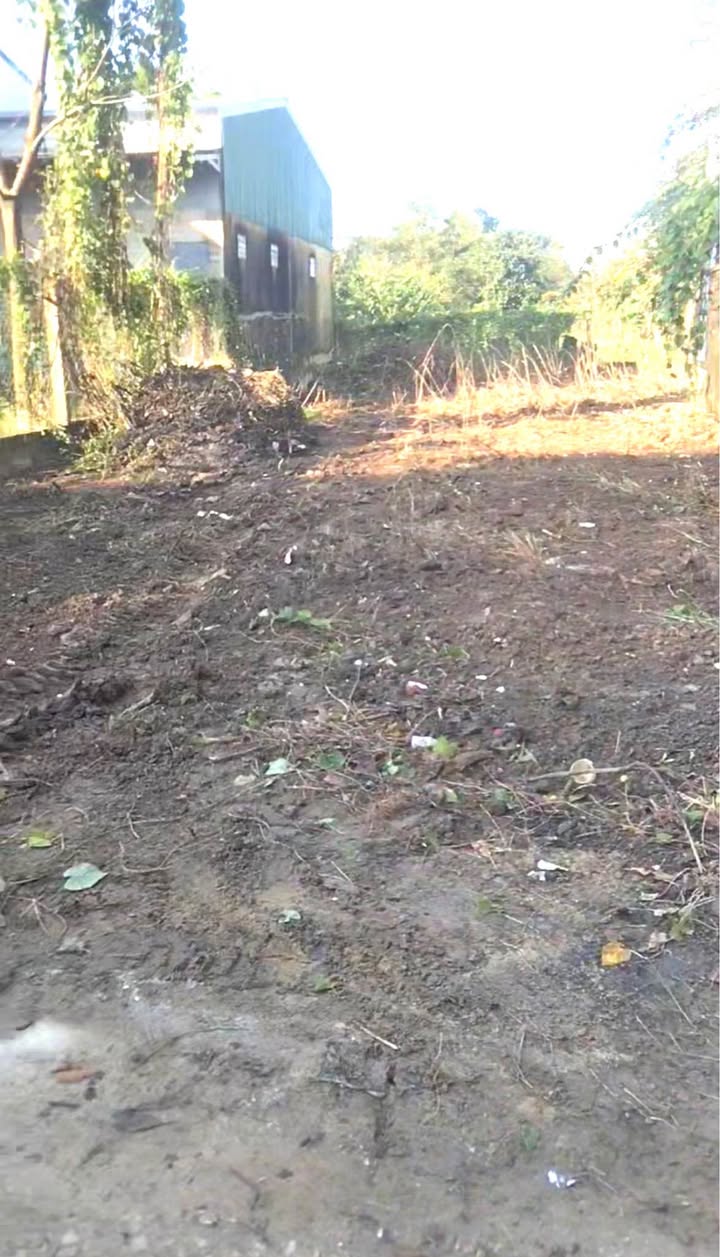 Bán đất 2 mặt tiền đường Chính Lại Thế, Phú Thượng 176m² - Kinh doanh sầm uất!