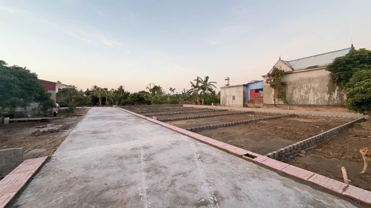 Đất nền Thôn Quán Trang, An Trường, Hải Phòng 75,7m² - Giá hấp dẫn, đầu tư sinh lời!