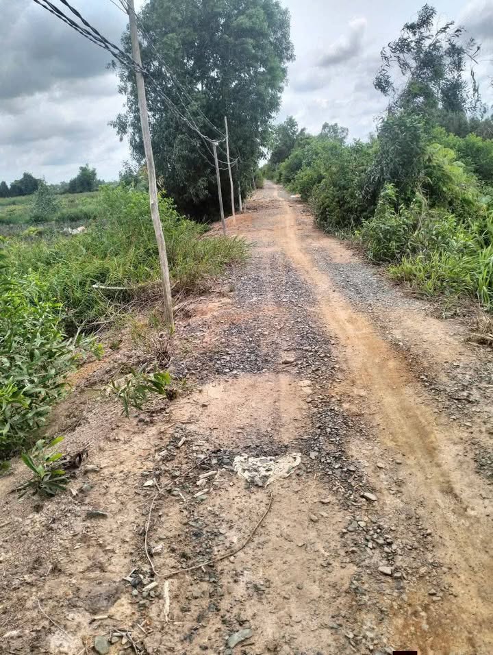 Đất nền 3 mẫu tại thị trấn Tân Phước, Tiền Giang - Giá chỉ 7.5 tỷ!