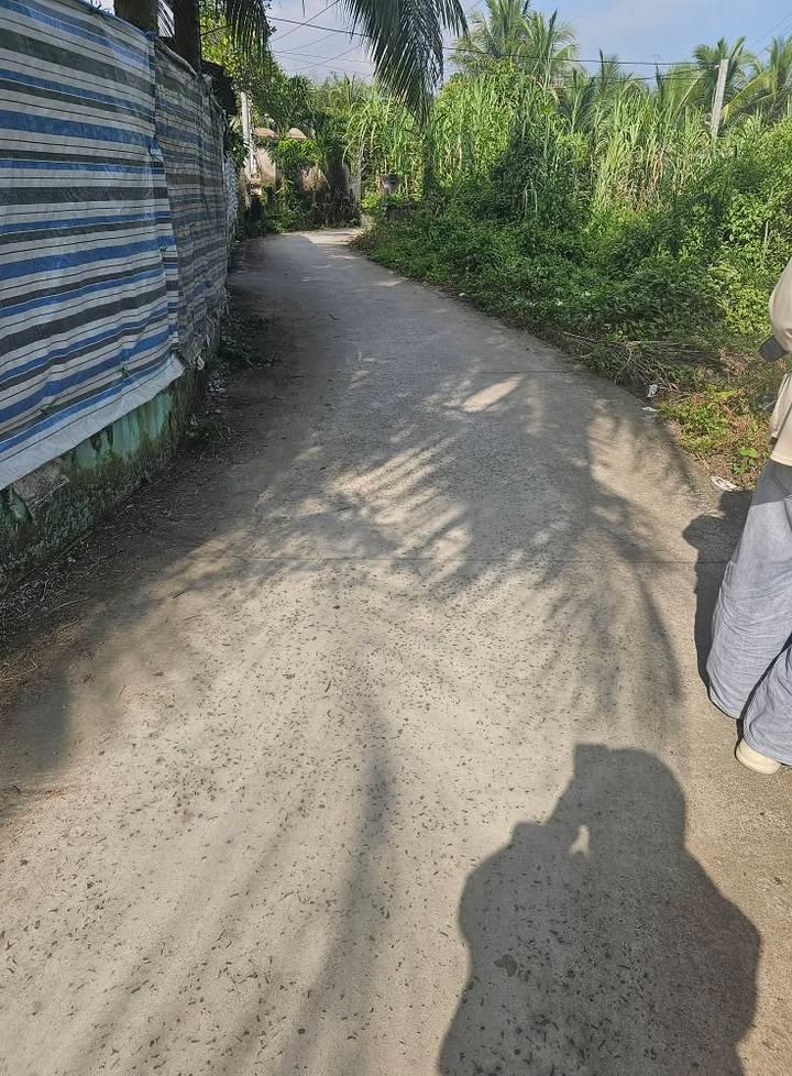 Đất nền Tân Hội Cai Lậy 1000m² giá 900 triệu - Phù hợp xây nhà trọ!