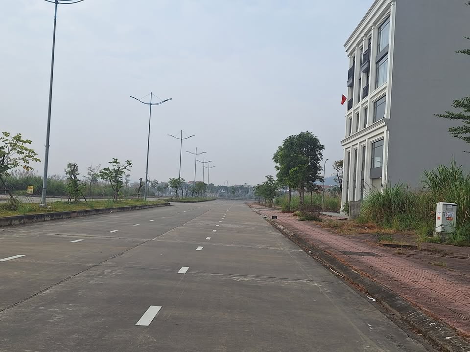 Đất nền dự án Bắc Sông Trới 100m² giá thỏa thuận - Vị trí đẹp không lỗi lầm!