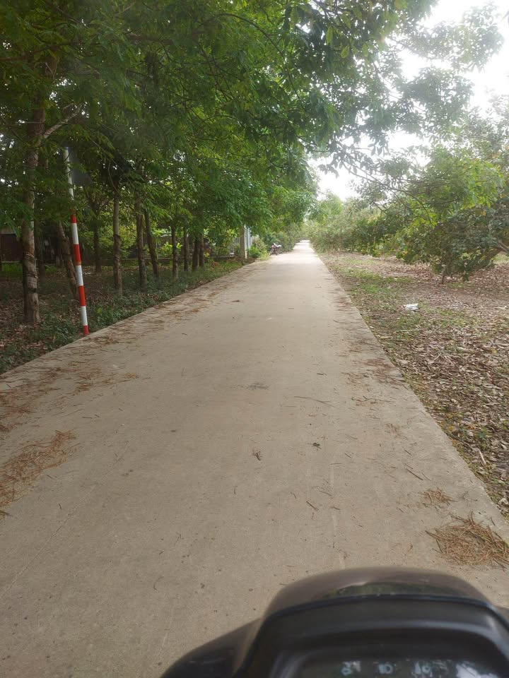 Đất nền khu phố 5 Thị Trấn Tân Biên 210m² giá 240 triệu - Cơ hội đầu tư tuyệt vời!