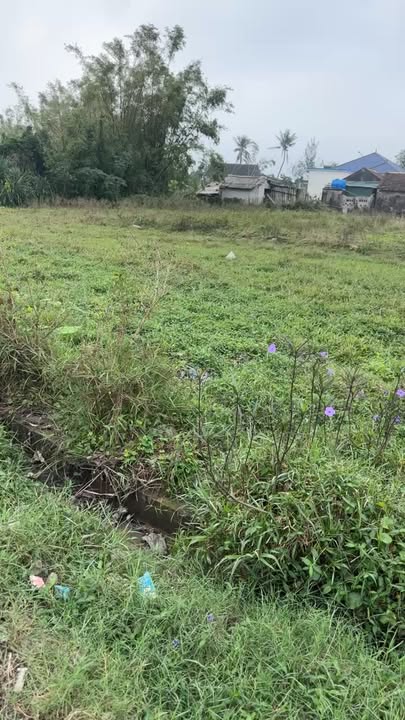 Đất nền tại phường Hải Ninh, Đà Nẵng 384m² giá 1 tỷ - Cơ hội đầu tư tuyệt vời!