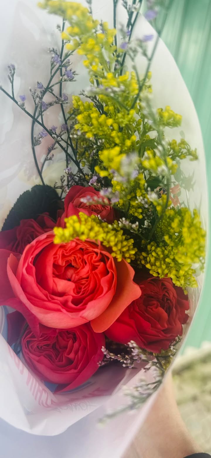 Phòng trọ cho thuê tại Lạc Long Quân, Đà Nẵng - Giá thỏa thuận, tiện nghi đầy đủ!