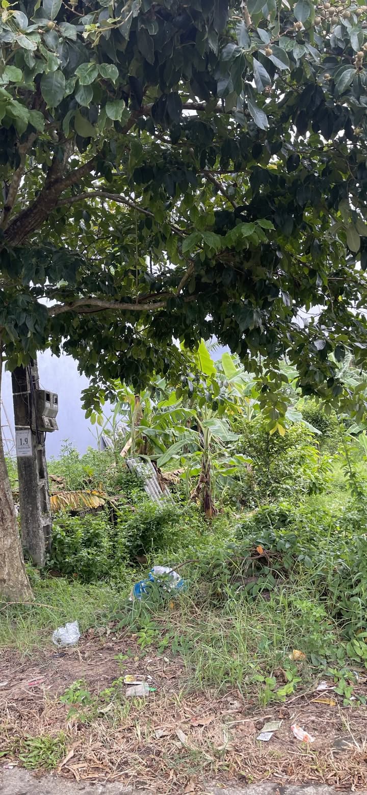 Đất nền kinh doanh tại phường Quảng Đức, Hải Hà 200m² - Giá cả thương lượng hấp dẫn!