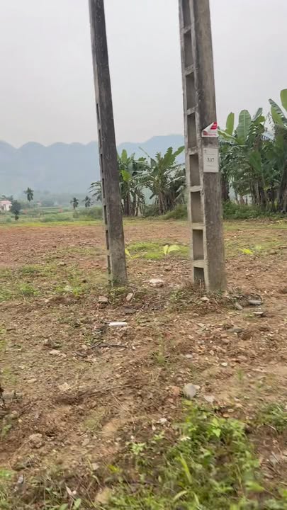 Đất nền 250m² tại xã Hương Cần, Thanh Sơn - Sổ đỏ chính chủ, giá tốt!