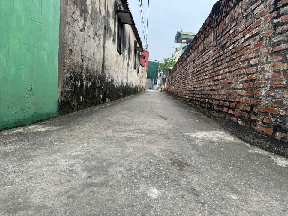 Đất nền Đặng Xá Gia Lâm 59m² giá 3.6 tỷ - Tiện ích đỉnh cao xung quanh!