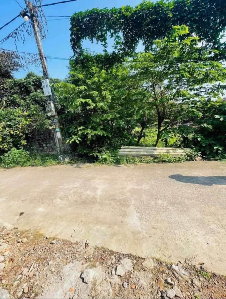 Đất Đồng Sơn, Đồng Hới 217m² giá 600 triệu - Cơ hội đầu tư vàng!