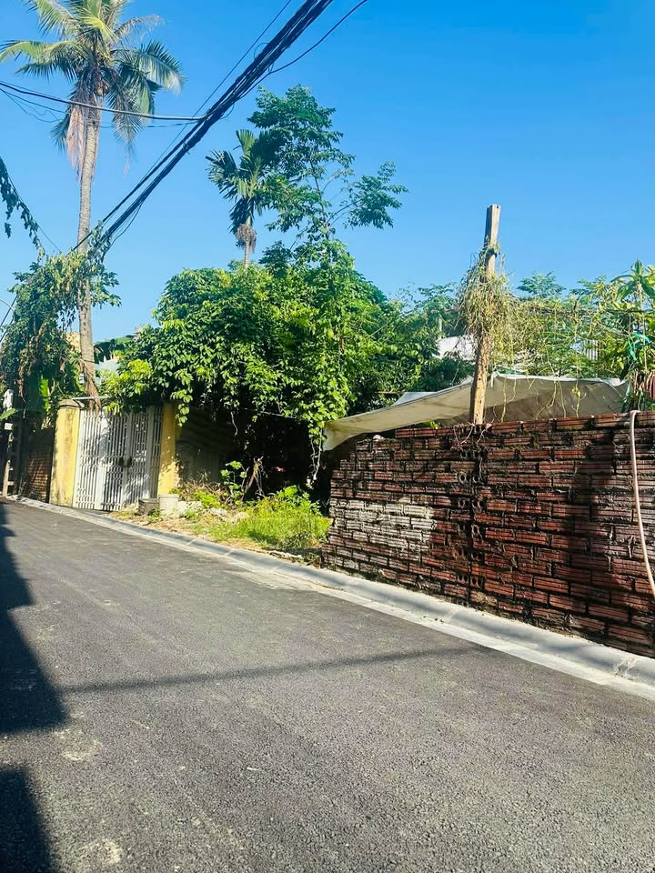 Đất nền Lương Quy, Đông Anh 72m² giá 5.184 tỷ - Đầu tư sinh lời ngay!