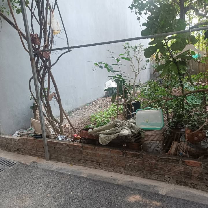 Lô đất Đông Hội 40m² giá 6 tỷ - Vị trí siêu đẹp, xe 4 chỗ vào tận nơi!