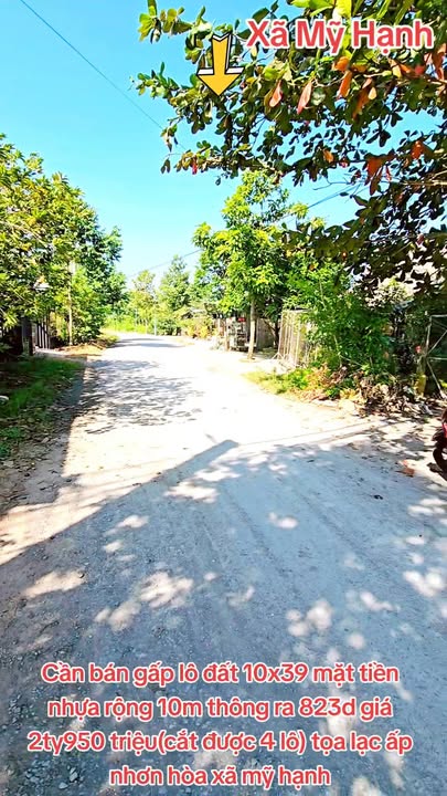 Đất nền ấp Nhơn Hòa, xã Mỹ Hạnh, 390m² giá 2.95 tỷ - Cơ hội đầu tư tuyệt vời!