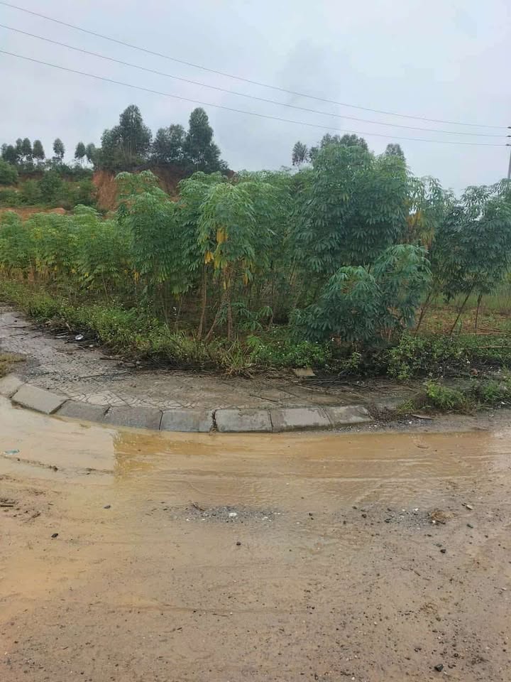 Đất nền Tiên Kiên Lâm Thao 100m² giá 900 triệu - Đầu tư sinh lời ngay!