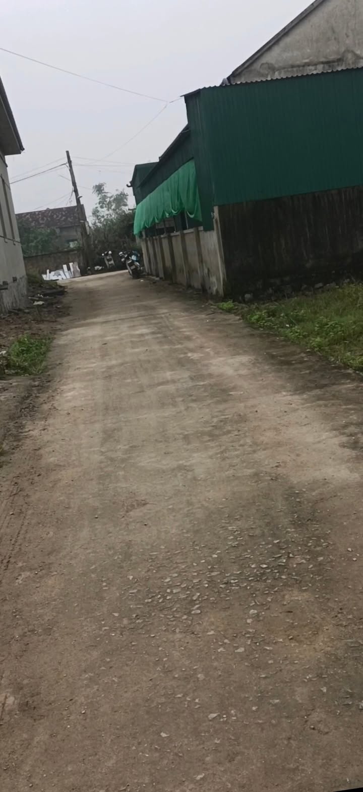 Đất thổ cư Bùi Xá, Việt Tiến 140m² - Cơ hội đầu tư hấp dẫn!