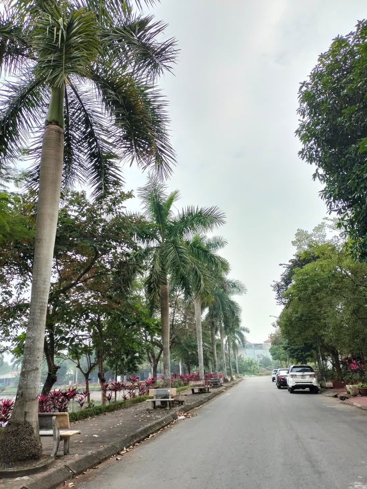 Nhà 3 tầng mặt hồ KDT CEO1 Phủ Lý 100m² - Không gian sống lý tưởng!