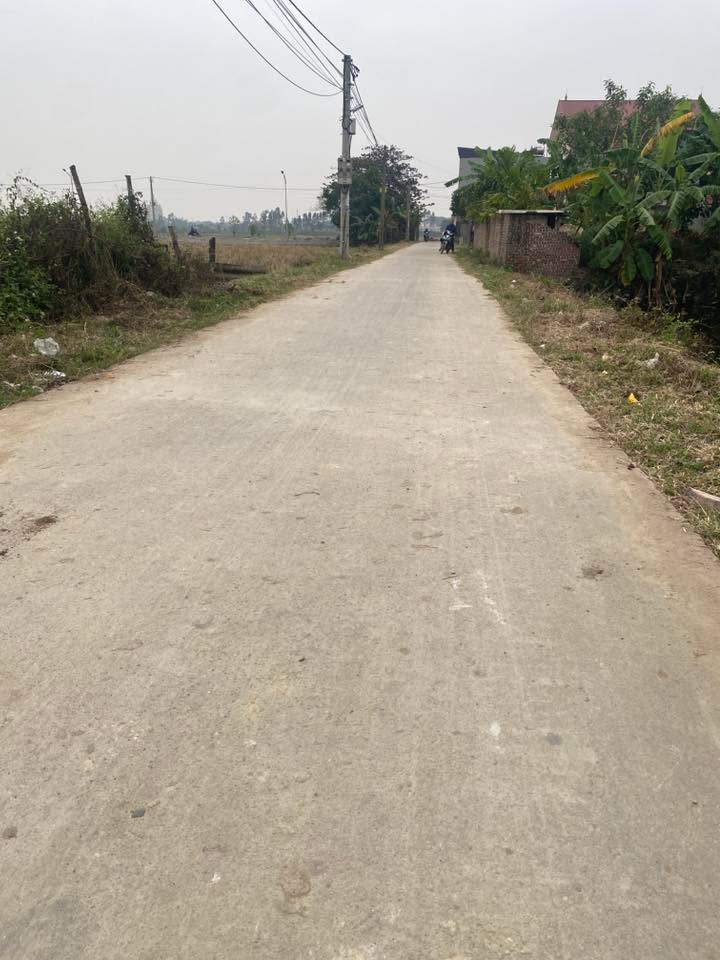 Đất nền thổ cư 100m² tại Đại Lộc, Gia Bình - Giá chỉ 2 tỷ