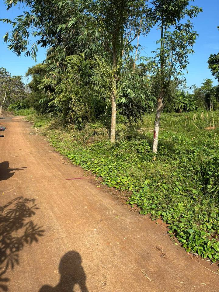 Đất thổ cư Nghĩa Thành, Châu Đức 170m² giá 530 triệu - Cơ hội đầu tư tuyệt vời!