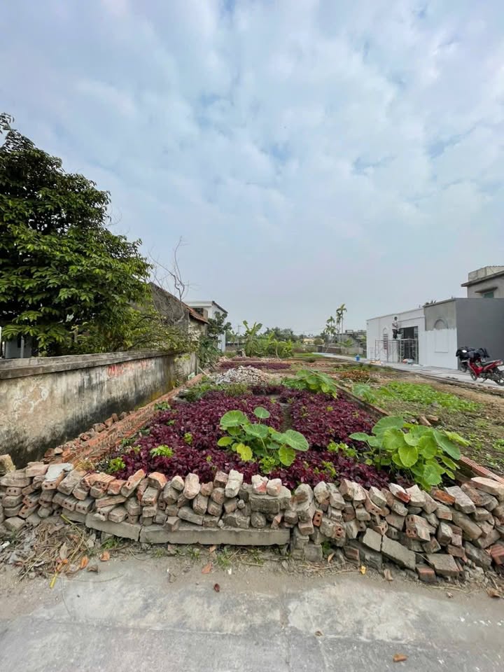 Đất nền Kiều Hạ 2 - Quốc Tuấn - An Dương 50m² giá 600 triệu - Đầu tư sinh lời ngay!