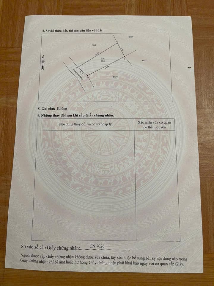 Đất Tân Dân Việt Trì 83m² giá 2.9 tỷ - Gần Công viên Văn Lang chỉ 2 phút đi bộ!