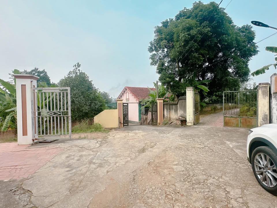 Bán đất khu Vân Phú, Việt Trì 208m² - Gần Đại học Hùng Vương, giá chỉ nhỉnh 10 triệu/m²