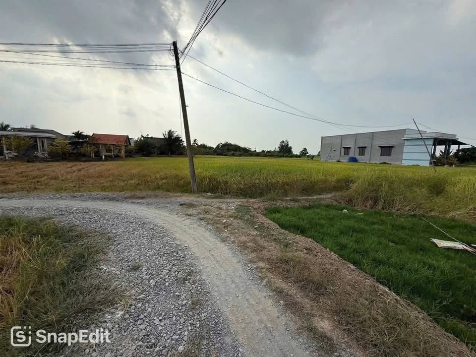 Đất trồng lúa 1100m² tại ấp 2, Phước Tuy, Cần Đước - Giá chỉ 1.05 tỷ VND!