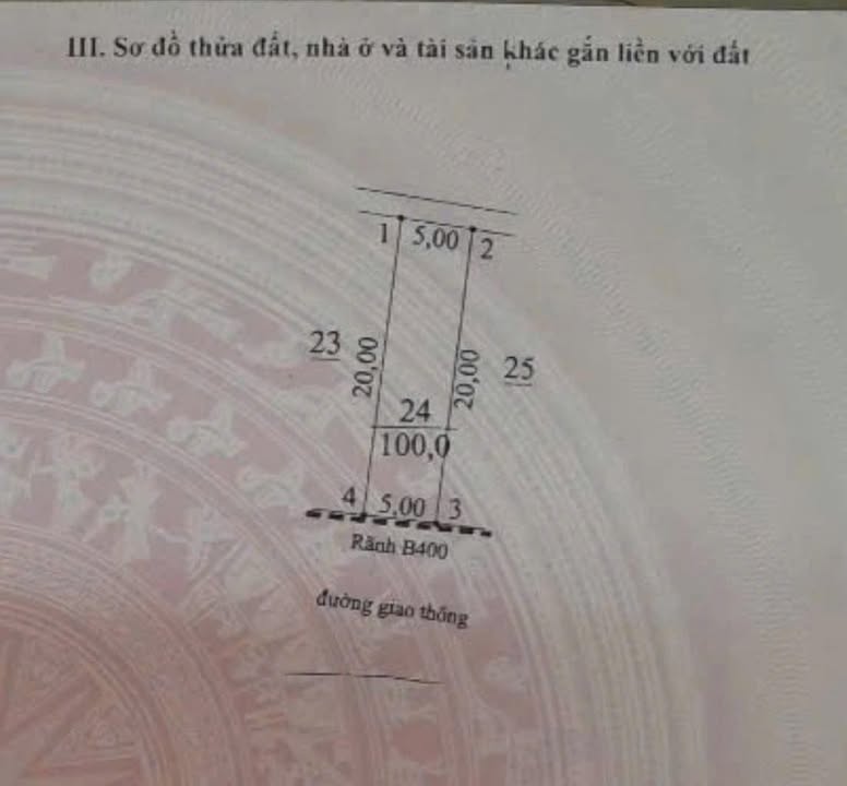 Đất đấu giá Phượng Dực 100m² giá chỉ 30 triệu/m² - Cơ hội đầu tư tuyệt vời!