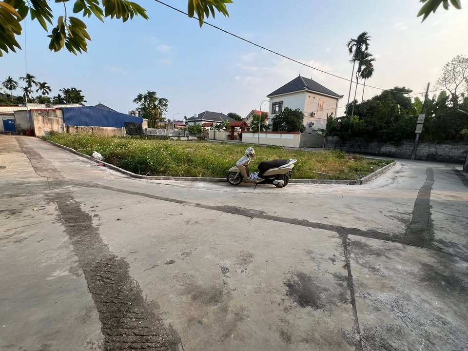 Đất nền Tân Dân - An Lão 62m² giá chỉ 600 triệu - Cơ hội đầu tư tuyệt vời!