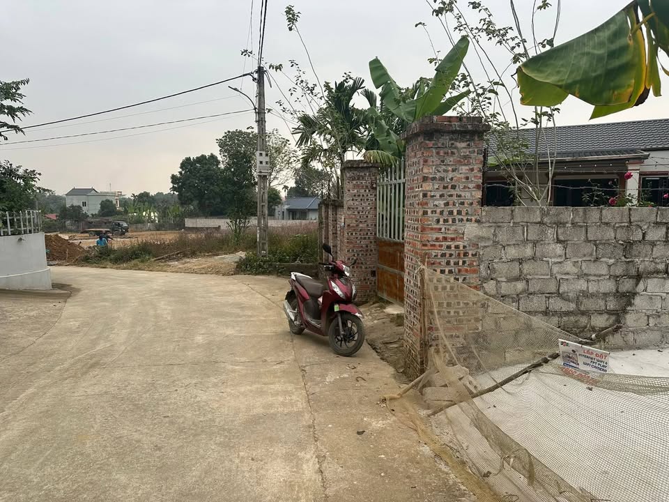 Nhà vườn Phú Cát 290m² giá chỉ 2.9 tỷ - Đầy đủ nội thất, sẵn vào ở!