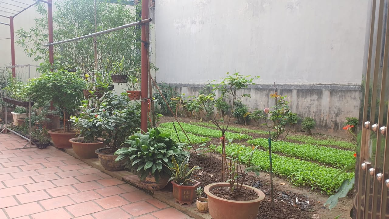 Đất thổ cư Thượng Thanh Long Biên 50m² giá 7 tỷ - Ngõ nông, gần ô tô, tiện ích đầy đủ!