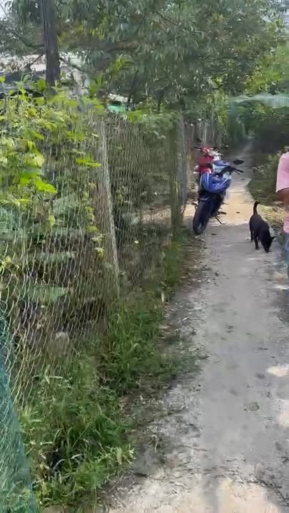 Đất Hòa Nghĩa, Chợ Lách 400m² giá 260 triệu - Sổ đỏ sang tên ngay!