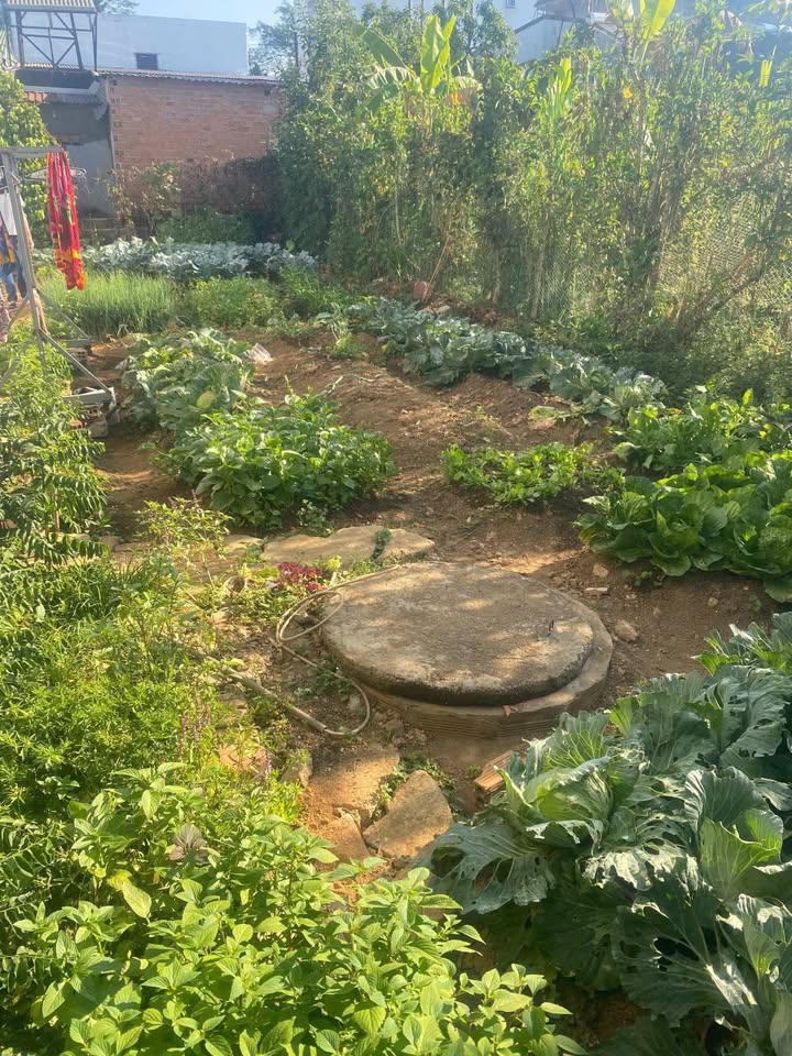 Đất thổ cư Đại Lào 99m² giá chỉ 1 tỷ - Vị trí gần QL20 thuận lợi!