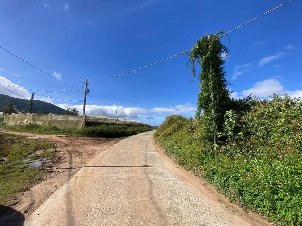 Đất mặt tiền 1100m² tại xã Ka Đơn, Lâm Đồng giá chỉ 2.2 tỷ - Cơ hội đầu tư hấp dẫn!