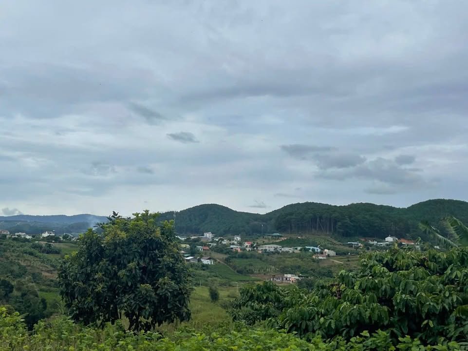 Đất nền Lâm Hà 990m² giá 2.25 tỷ - Pháp lý sổ hồng chính chủ!