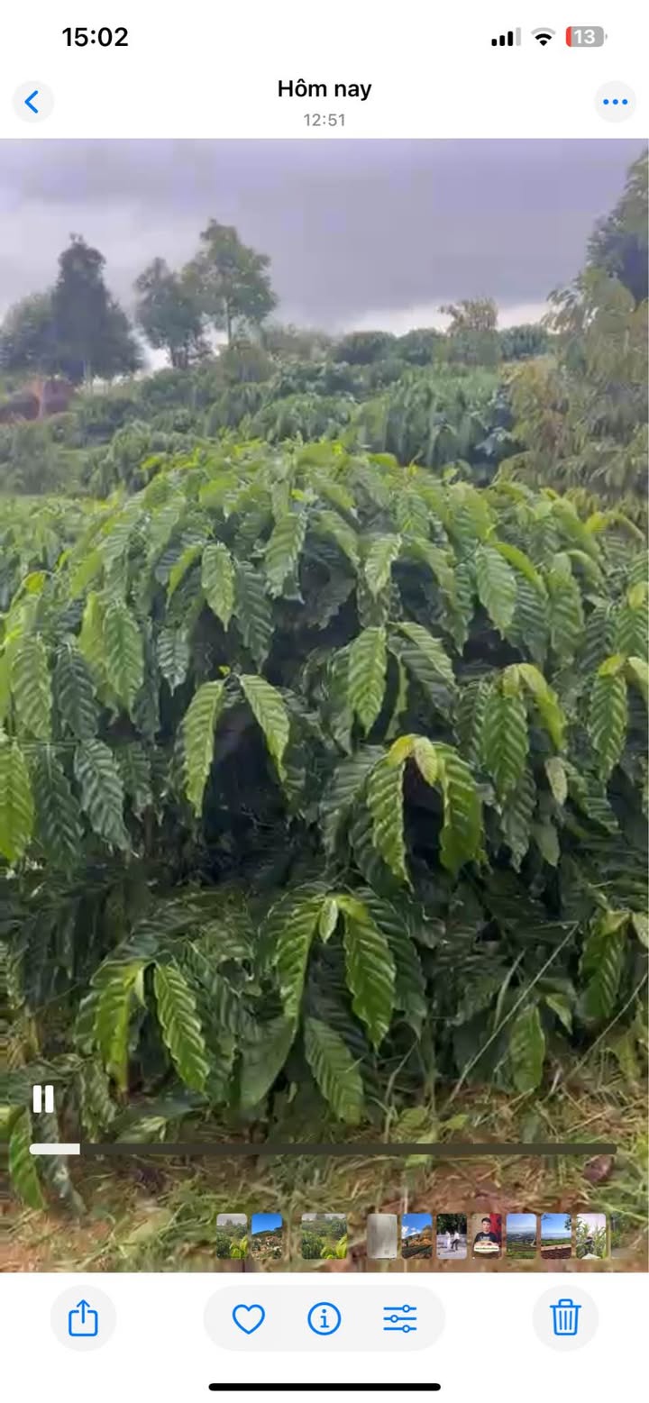 Lô đất Mê Linh Lâm Hà 6000m² giá 3.5 tỷ - View 360 độ tuyệt đẹp!