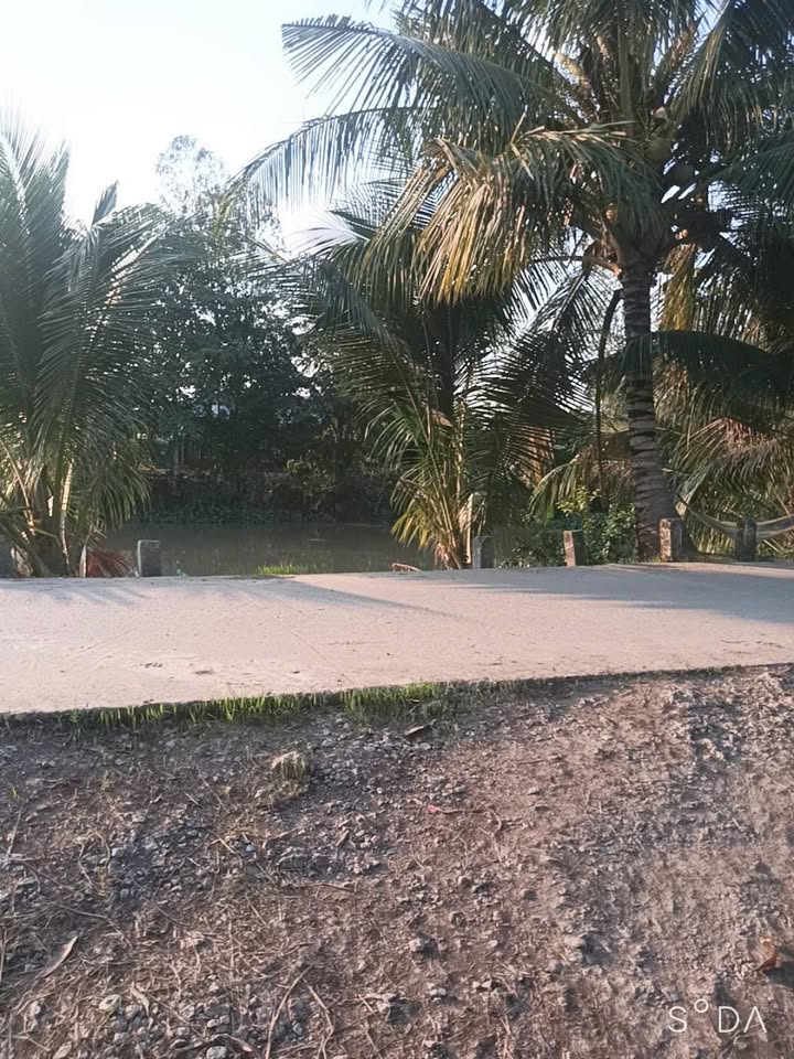 Đất Farm Vĩnh Hanh 26.000m² giá 4.42 tỷ - Tiềm năng lớn với đường 4m tiện lợi!