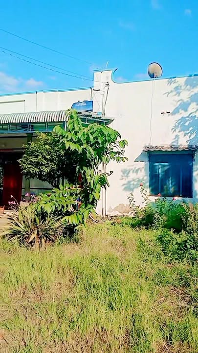 Đất nền mặt tiền bê tông xã Phú Hòa, Đồng Nai 272m² giá 680 triệu - Sổ hồng riêng, thương lượng