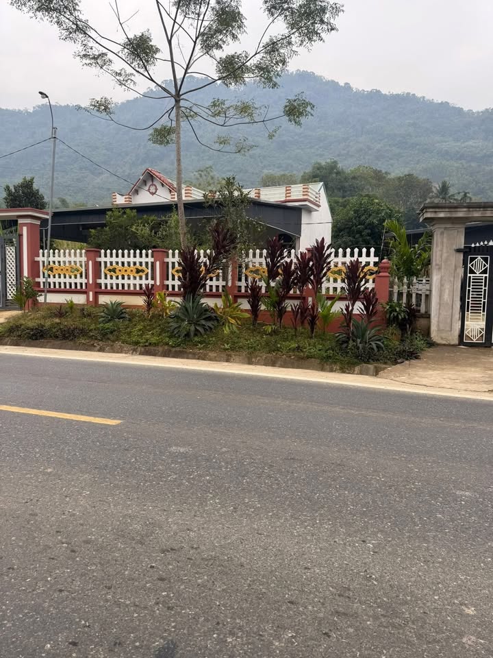 Đất nền giá rẻ tại khu phố Cao Xuân, Ngọc Lặc - 324m², mặt tiền rộng 6m!