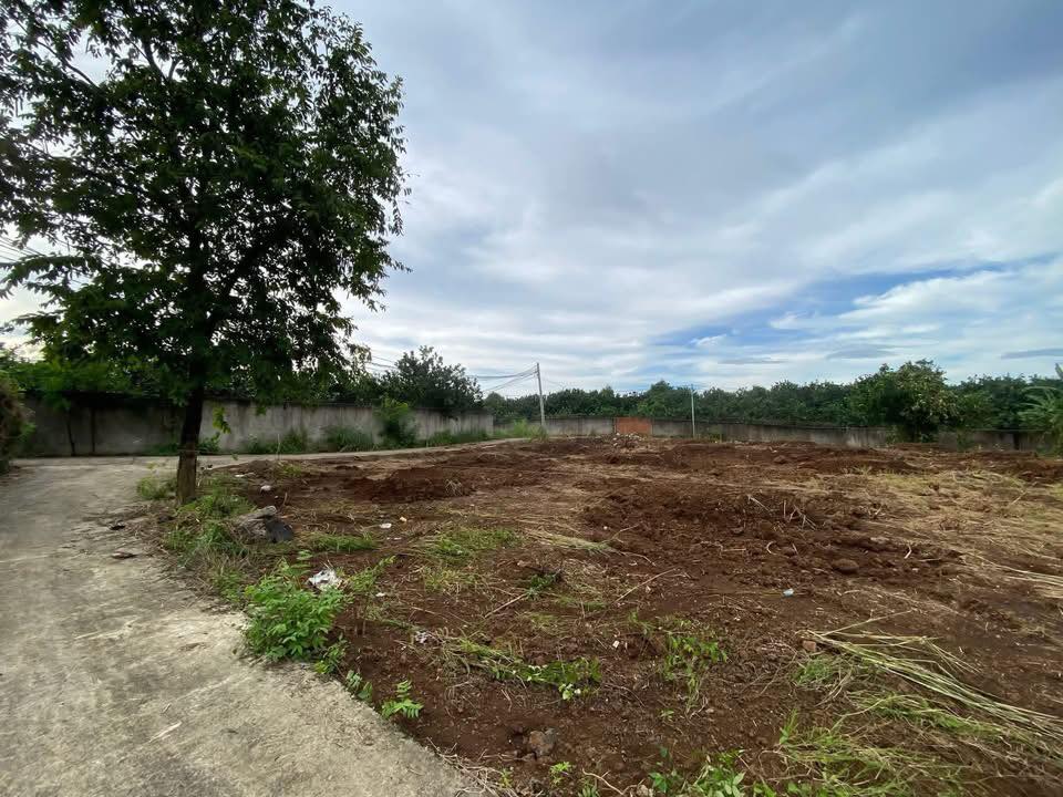 Đất nền Phú Thanh Tân Phú 1174m² giá 900 triệu - Đầu tư sinh lời ngay!