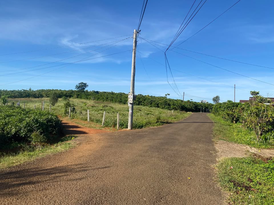 Đất 2 mặt tiền tại Lộc Tân, Bảo Lộc, Lâm Đồng 1010m² giá 2.5 tỷ - Cơ hội đầu tư sinh lời!