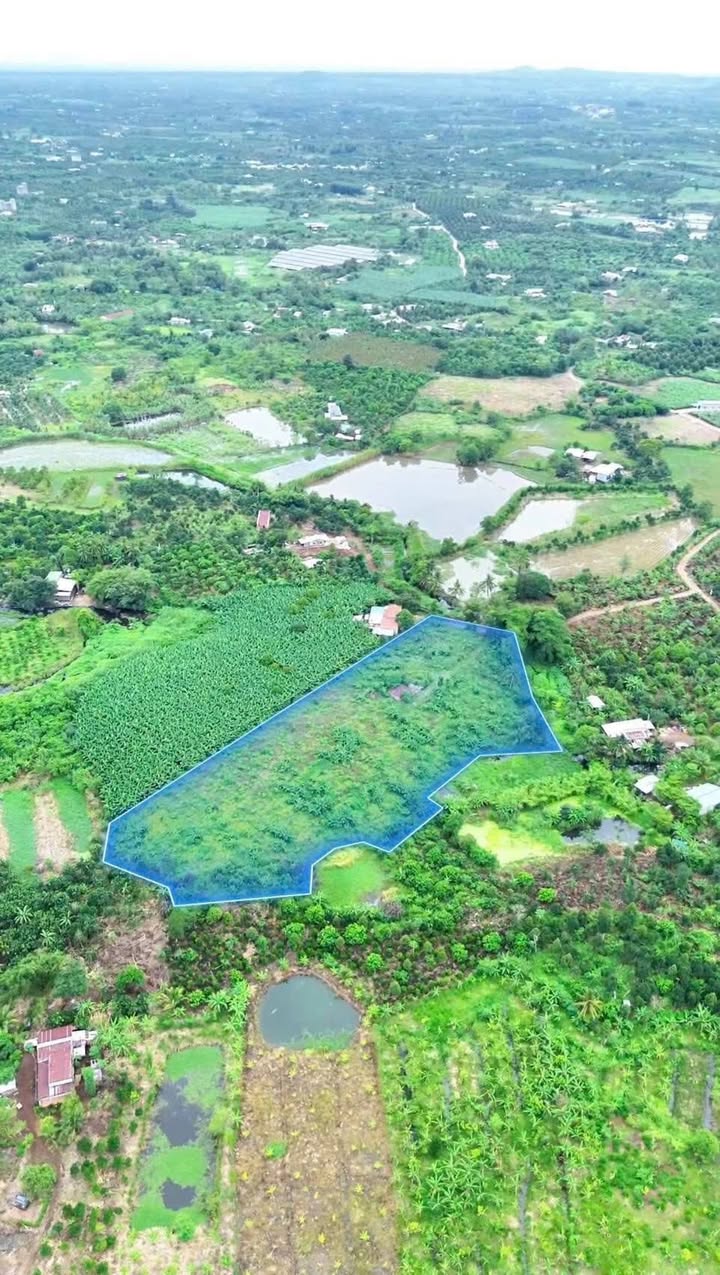 Đất nền 10,000m² tại Phú Thịnh, Tân Phú, Đồng Nai - Sổ hồng chính chủ, giá 3.2 tỷ VND!