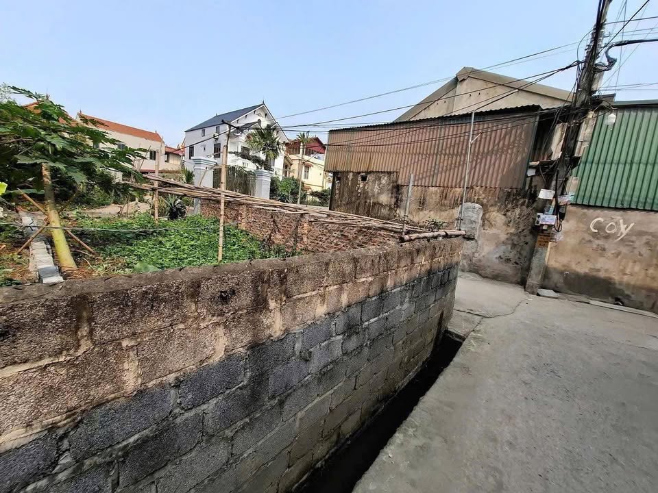 Đất Vĩnh Lộc Thư Phú 50m² giá thỏa thuận - Ô tô đỗ cửa, vị trí đẹp!