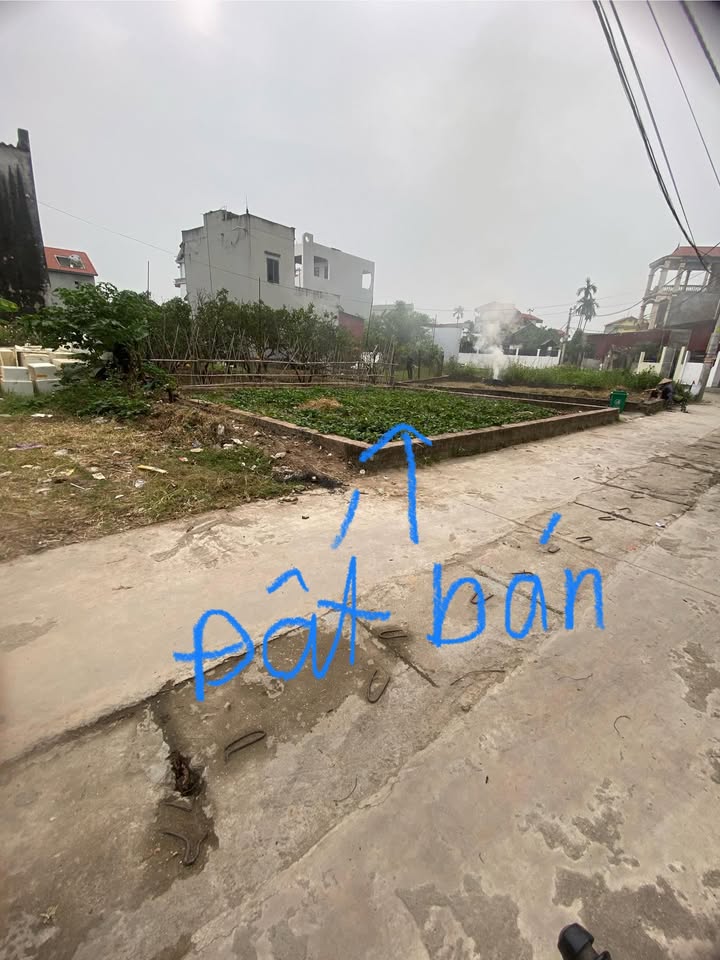 Đất nền Tổ 9 Quang Minh Mê Linh 56.9m² giá 2.83 tỷ - Ô tô đỗ cửa thuận tiện!