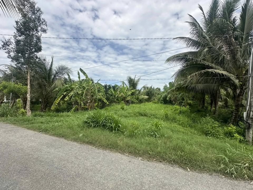 Đất vườn dừa 2225m² xã Lương Hòa, Trà Vinh - Chính chủ bán gấp giá 2 tỷ