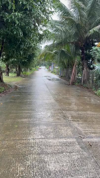 Đất nền Cẩm Thoại Tây Hòa Vang 120m² giá 1.3 tỷ - Vị trí đẹp, không ngập lụt!