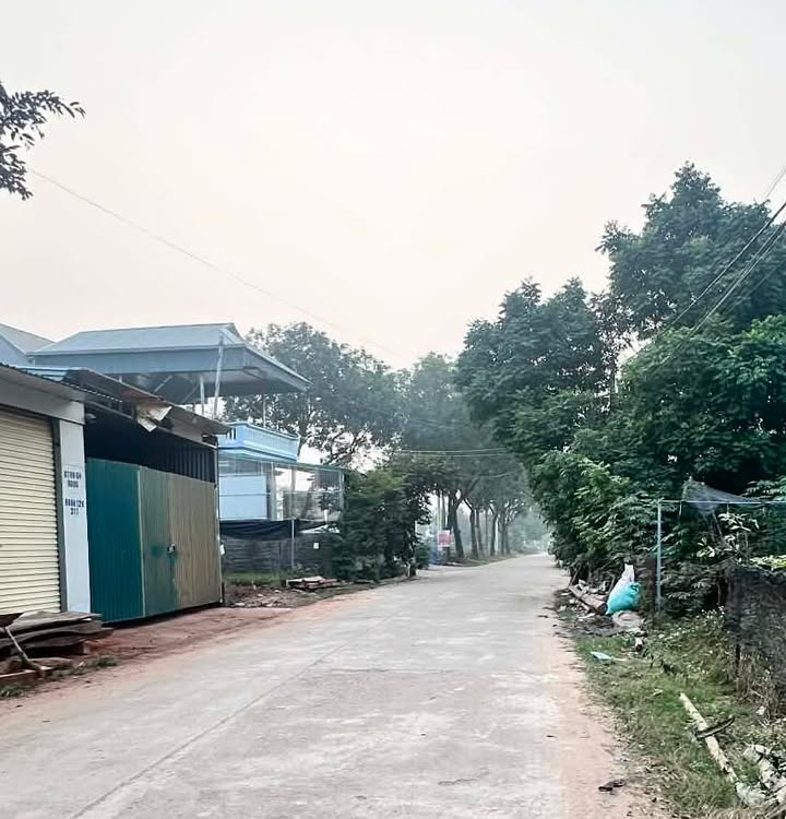 Đất nền xã Thanh Vân, huyện Tam Dương 300m² - Đường ô tô tránh nhau, bán gấp!