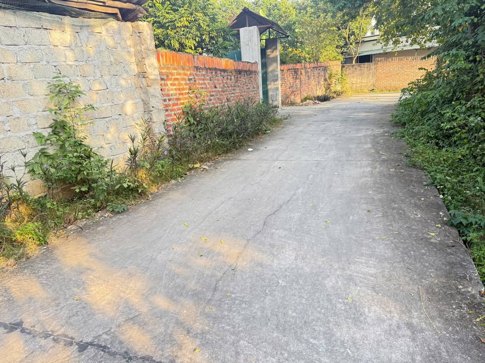 Đất Yên Sơn, Hướng Đạo, Tam Dương 1662m² giá 10.57 tỷ - Cơ hội đầu tư sinh lời!