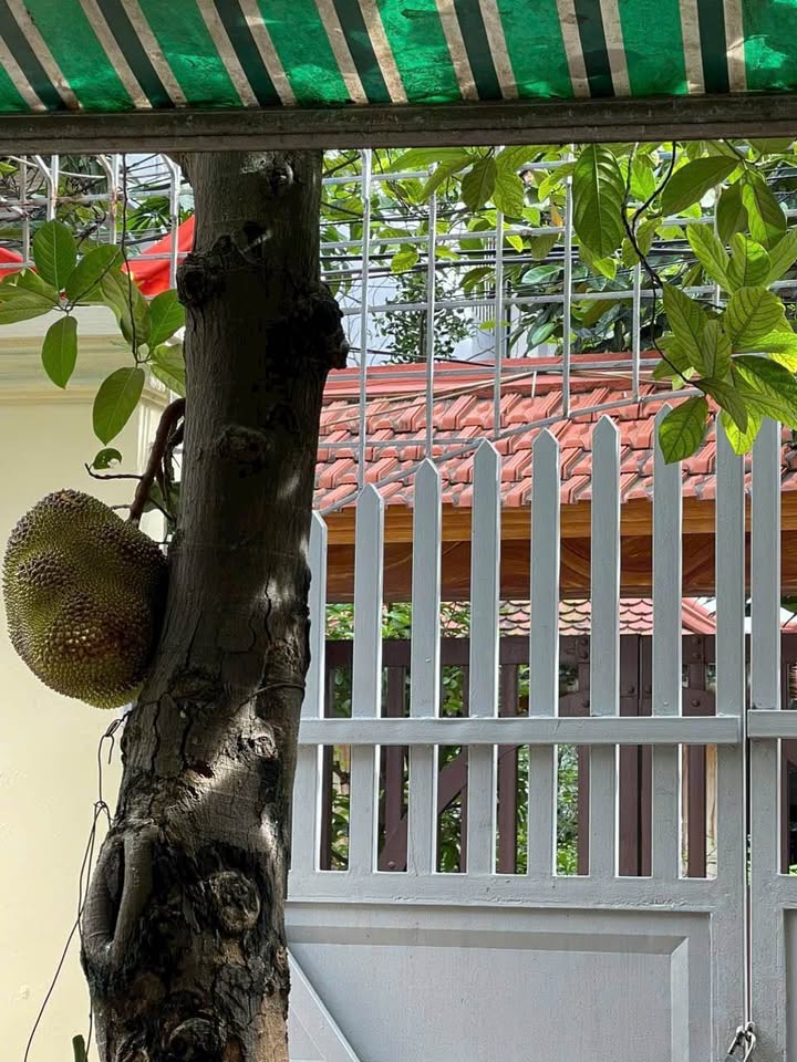 Nhà cho thuê tại ngõ 239 đường Đà Nẵng, Hải Phòng - Giá chỉ 4 triệu/tháng!