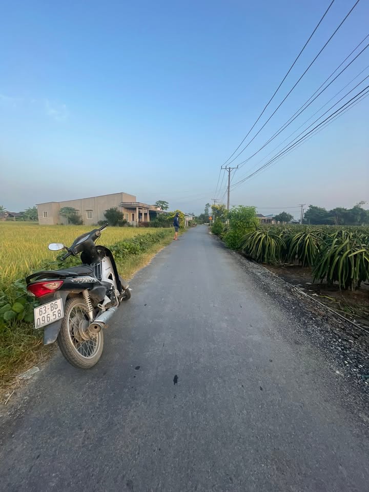 Đất nền ấp Khương Thọ, xã Đồng Sơn, Gò Công Tây, 215m² chỉ 390 triệu - Cơ hội đầu tư tuyệt vời!